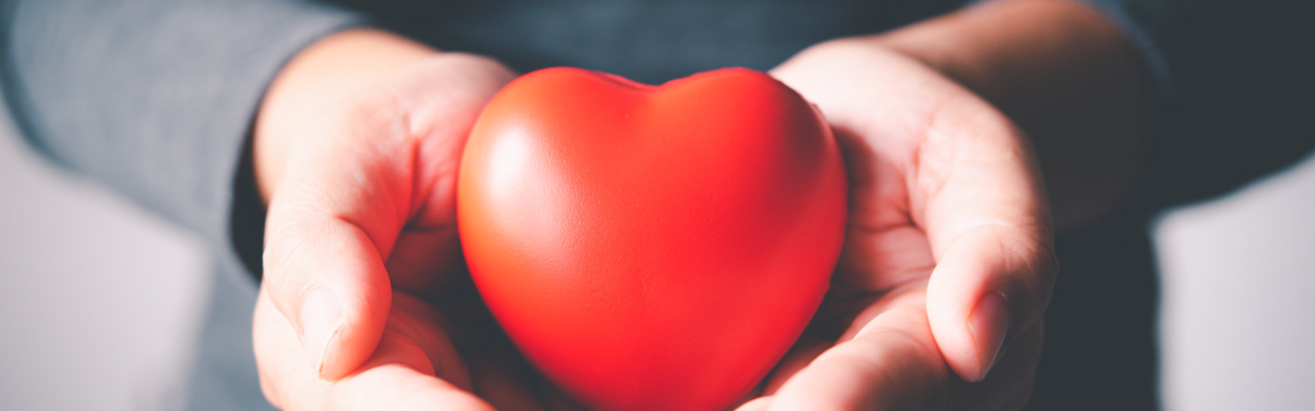 heart in the palm